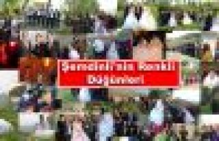 Şemdinli'nin Renkli Düğünleri 