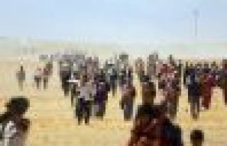 Şengal Dağı'na koridor açılmalı