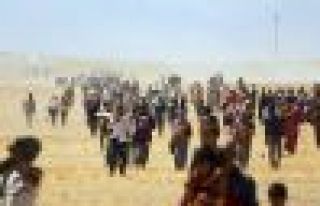 Şengal Dağı’nda açlık ve katliam tehdidi: Derhal...