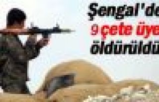 Şengal’de 9 çete üyesi öldürüldü