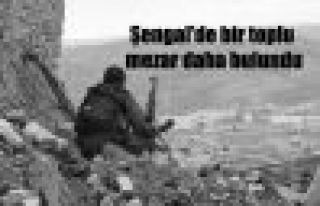 Şengal'de bir toplu mezar daha bulundu