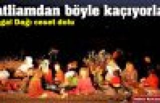 Şengal'den kaçıp Cizre'ye sığınan Ezidîler...