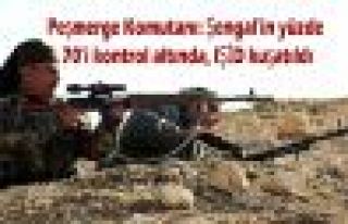 Şengal'in yüzde 70'i kontrol altında, IŞİD kuşatıldı