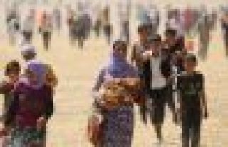 Şengalli kadınların çığlığı dünya kadınlarını...