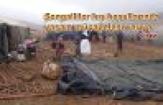 Şengalliler kış koşullarında yaşam mücadelesi...