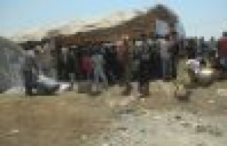 Şengalliler Rojava’da yeniden yaşama tutundu