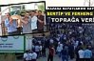 Sertip ve Ferheng Dara toprağa verildi