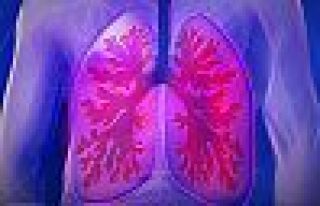 Sigarayı bırakan 40 yıllık tiryakilerin bile akciğerleri...