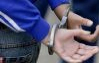 Siirt ve Iğdır'da 'DHKP-C' operasyonu: 5 gözaltı