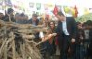 Siirt'te ilk Newroz ateşi yakıldı