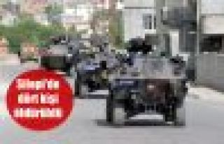 Silopi'de dört kişi öldürüldü