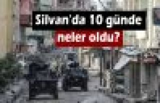 Silvan'da 10 günde neler oldu?