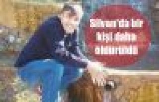 Silvan'da bir kişi daha öldürüldü