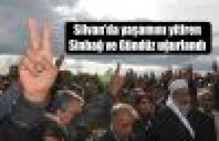 Silvan'da yaşamını yitiren Sinbağ ve Gündüz...