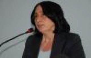 Silvan'daki HDP milletvekili: Operasyonu derhal durdurun