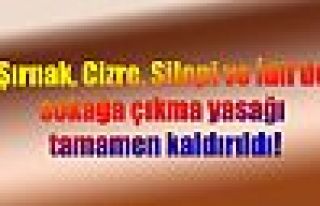 Şırnak, Cizre, Silopi ve İdil'de sokağa çıkma...