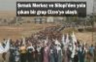 Şırnak Merkez ve Silopi'den yola çıkan bir grup...