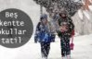 Şırnak Rize, Van ve Siirt ve Bolu’da okullar tatil...