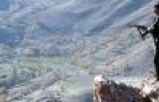 Şırnak'da bir köy korucusu öldürüldü