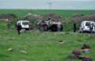 Şırnak'ta arazi katliamı: 3 ölü