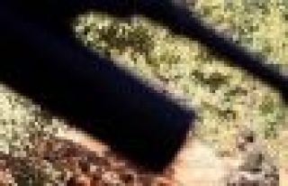 Şırnak'ta patlama ve çatışma