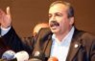 Sırrı Süreyya Önder, AGİT heyeti ile görüştü