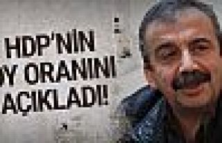 Sırrı Süreyya Önder: HDP'nin oy oranı açıkladı