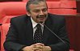 Sırrı Süreyya Önder 'safkan otomobil' bulamadı!