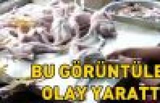 Şişirilmiş Piliçler Dehşete Düşürdü