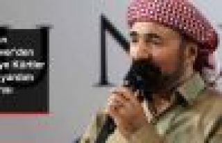 Şivan Perwer, Kürtler İçin BM'den Yardım İstedi