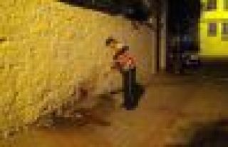 Sokak ortasında dehşet!