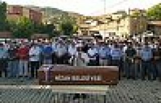 Son sözü Pınar'ın annesi söyledi: 'Weyla ez qurbana...