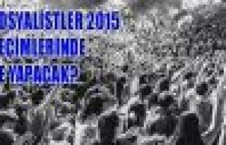 Sosyalistler 2015 seçimlerinde ne yapacak?