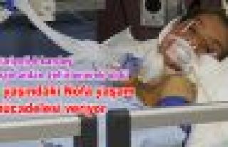 Suriyeli 6 kardeş mantardan zehirlenerek öldü