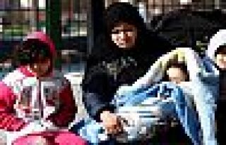 Suriyelilerin yarısı temelli yerleşmek istiyor