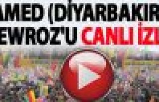 Tarihi Amed Newroz'u başladı 