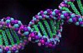 Tarihin en geniş gen araştırması başlıyor