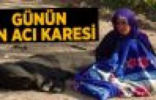 Tarım İşçilerini Taşıyan Minibüs Kaza Yaptı:...