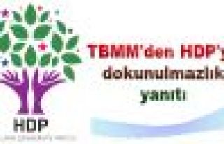TBMM'den HDP'ye dokunulmazlık yanıtı