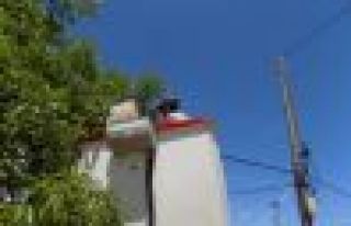 Telefonên 6 gundên Şêrewa hatin sererastkirin