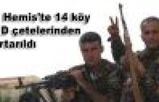 Til Hemis'te 14 köy IŞİD çetelerinden kurtarıldı