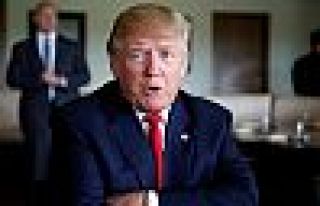 Trump: Türkiye ve YPG'nin biraz kavga etmesi gerekiyordu,...