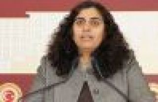 Tuncel: Öcalan üzerindeki tecrit uygulamalarına...