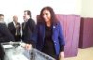 Tuncel: Türkiye demokrasi açısından önemli