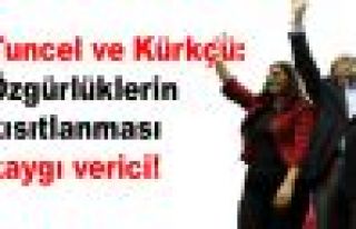 Tuncel ve Kürkçü: Özgürlüklerin kısıtlanması...