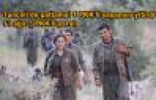 Tunceli'de patlama: 1 PKK'li yaşamını yitirdi,...