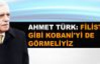 Türk: Filistin gibi Kobani'yi de görmeliyiz