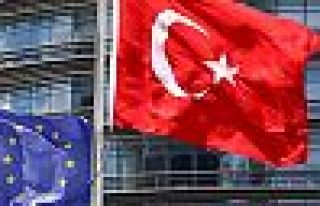 Türkiye 'denetim' kararını kınadı