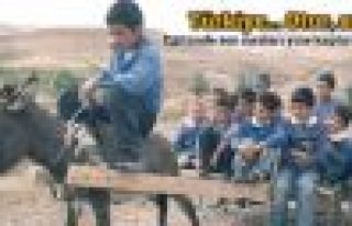 Türkiye eğitim kalitesinde son sıralara demir attı