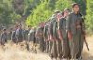 'Türkiye IŞİD'le mücadele görüntüsü altında...